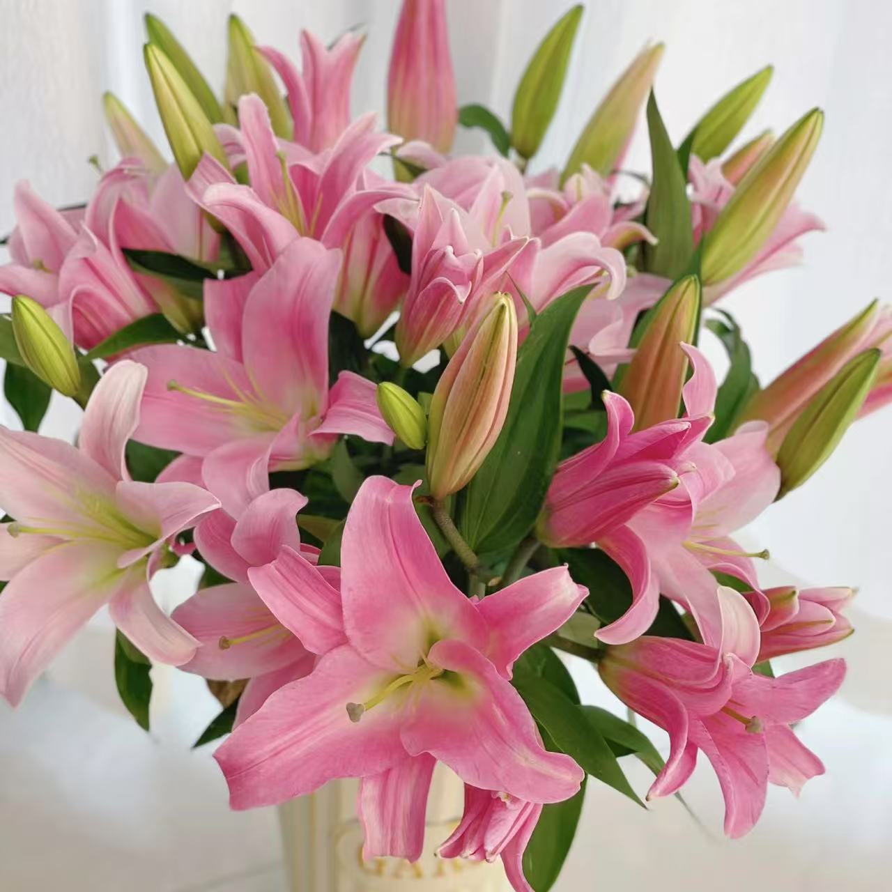 5枝星光双头百合10个花苞 香水百合(两单发顺丰或京东快递)
