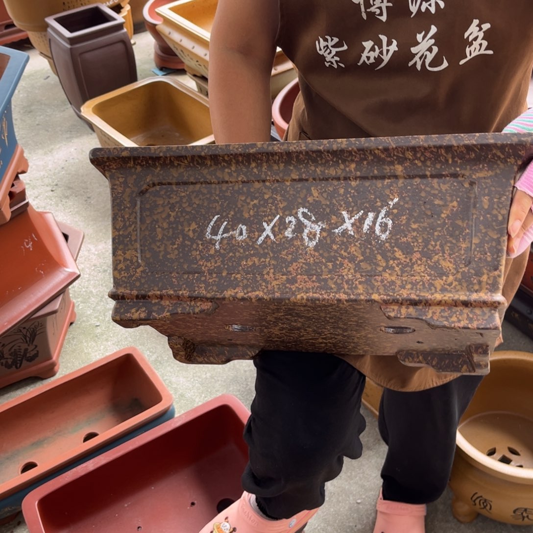 紫砂花盆盆景艺术