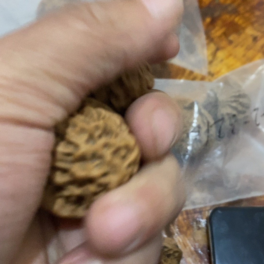 秦岭山脉东面临湖一带