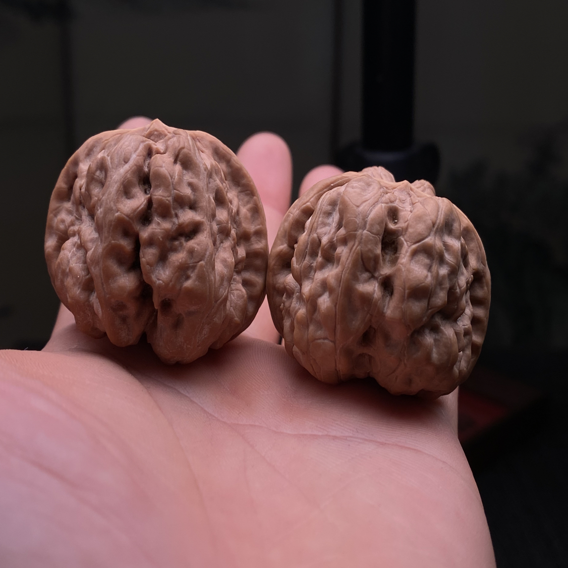 编号25130，边43肚44！四开超肥蛙饼，疙疙瘩瘩大粗棱！下拉详情页一