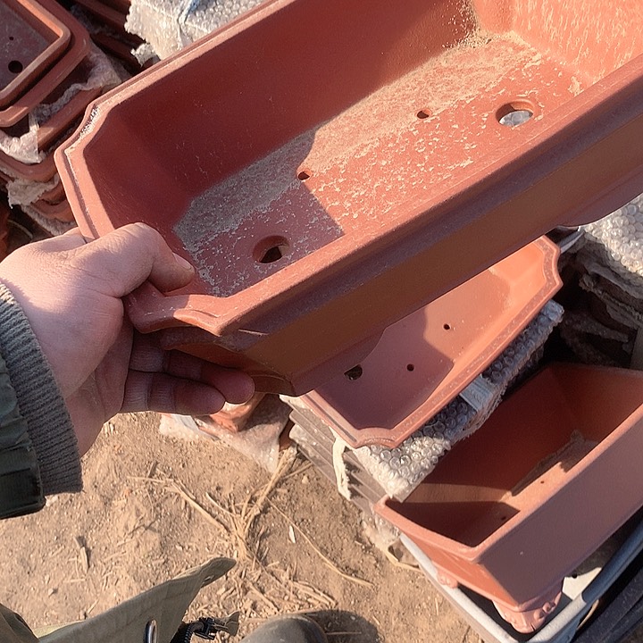 紫砂优秀青年科技人才培养的