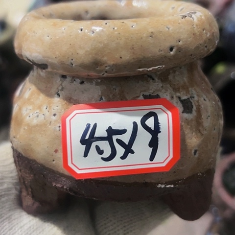 红陶粗陶花盆手工