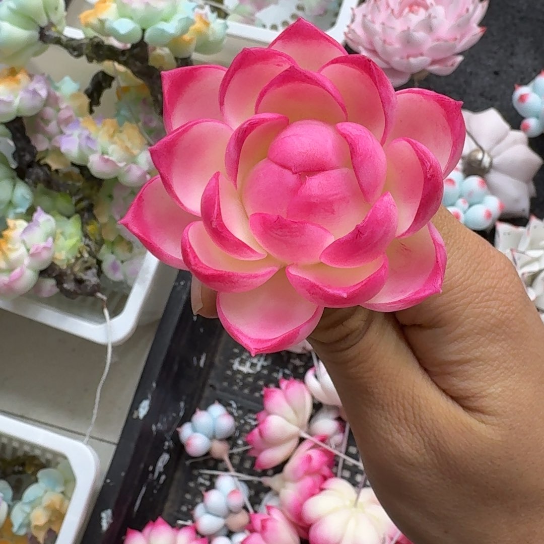 树脂制品64号哦哦哦哦哦哦哦