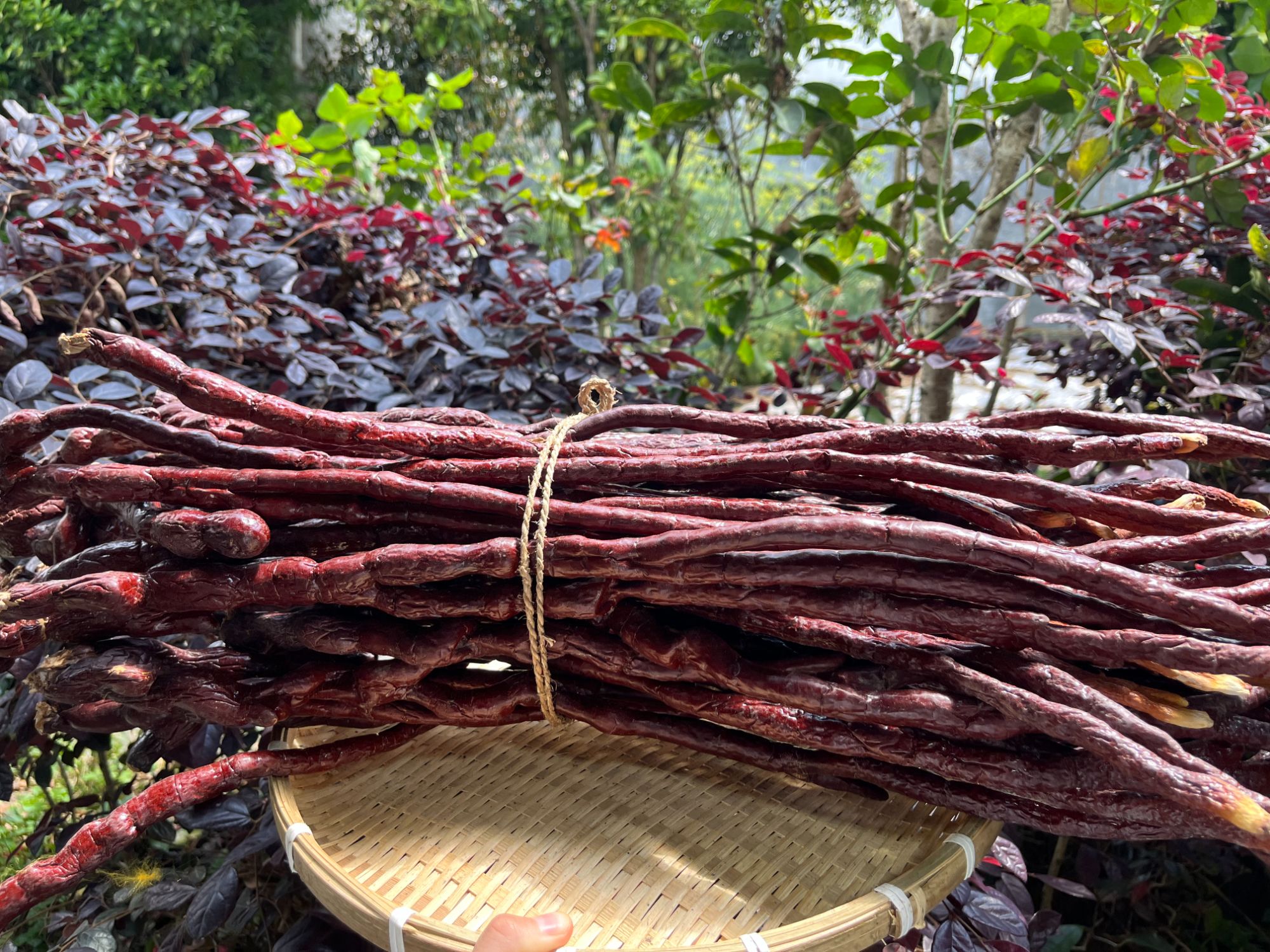 A【鹿-灵-参】净含量：250g-1000g【阿徐现收】