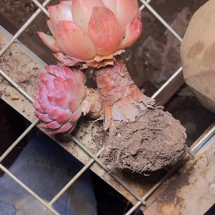 我想说我们不在一块就