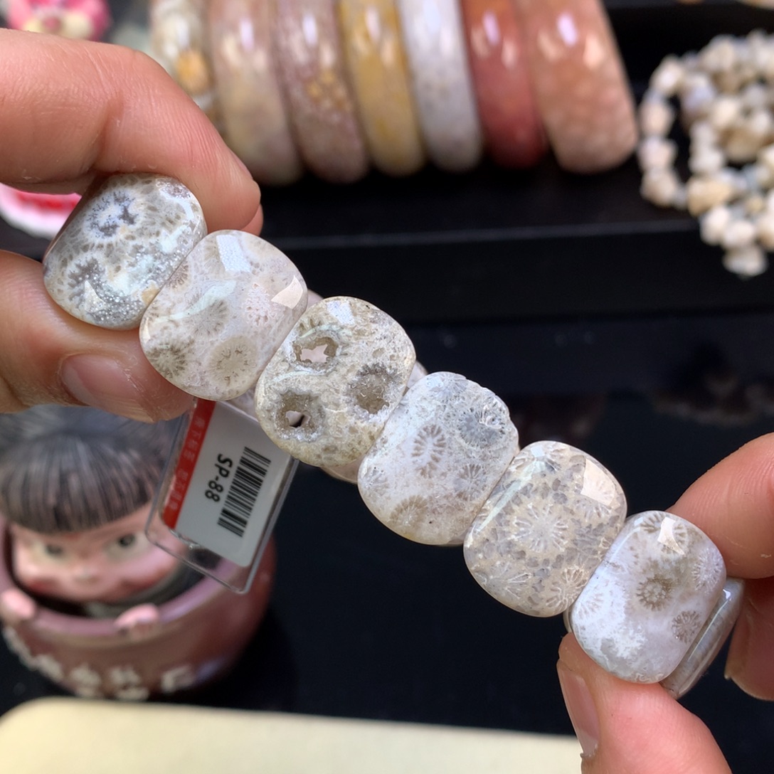 硅化珊瑚（珊瑚玉）未镶嵌颈饰12号灰蓝共生