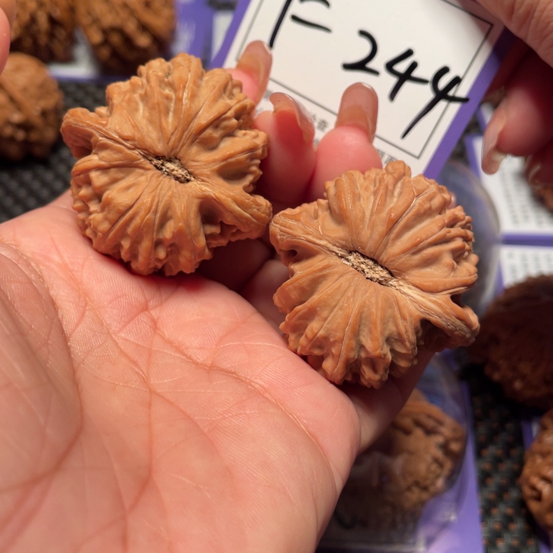 把件桃核244号白狮子40