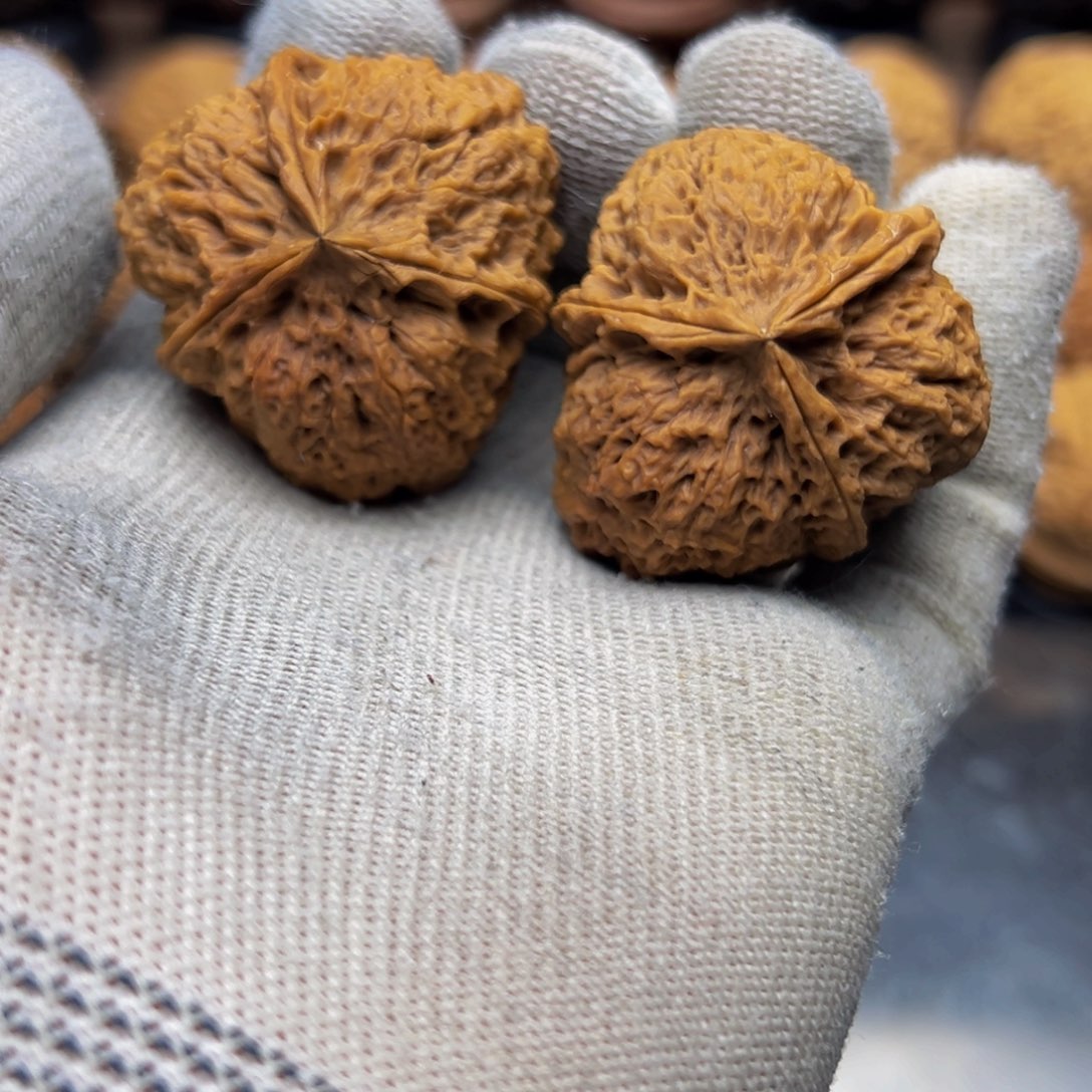 39尺寸蚂蚁纹三棱 一物一图