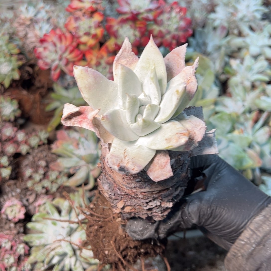 8713哈哈哈哈哈哈哈哈