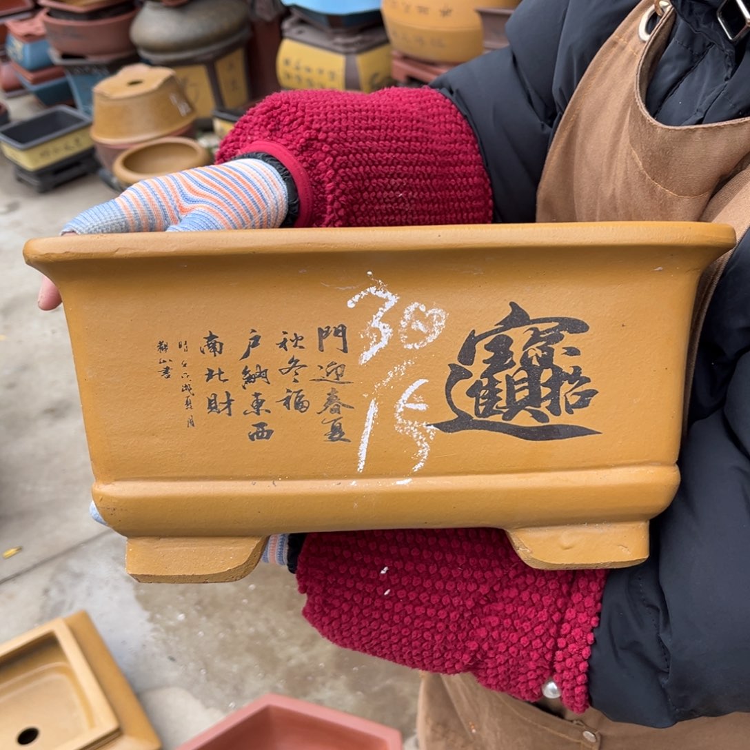 紫砂花盆盆景艺术