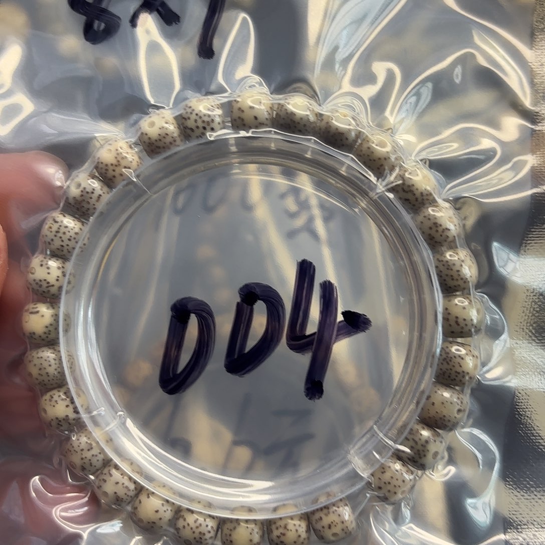 星月菩提手串玉化料004