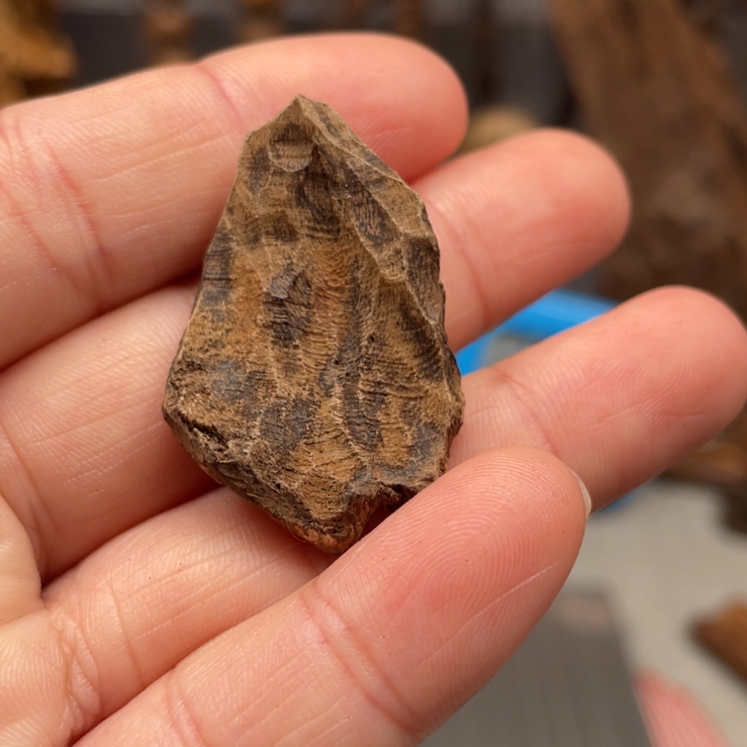 【闪购商品】沉香沉香碎屑芽庄沉水