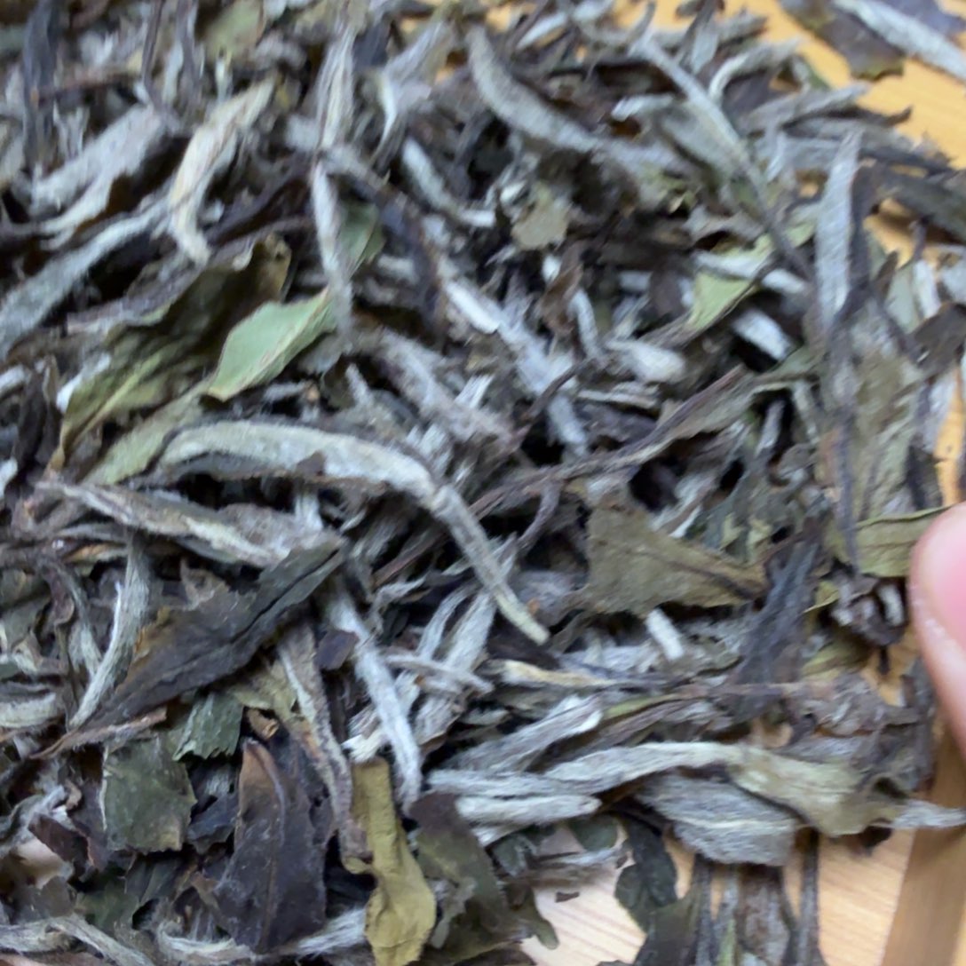 2021荒野白牡丹60g紫砂