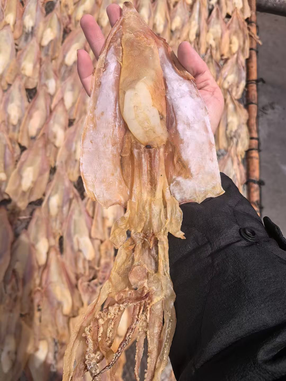 正宗惠安小岞小乍崇武带卵鱿鱼母干货孕妇500g1000g福建特产