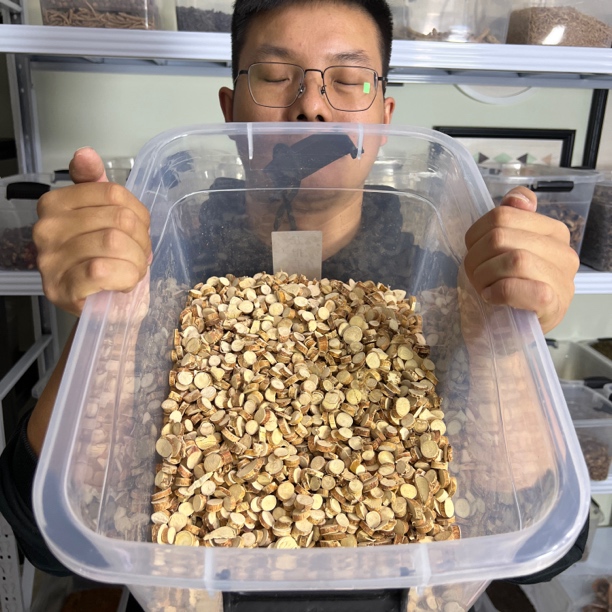 【本草李博士】无硫广西正宗五指毛桃片精选优质晒干可煲汤煲水