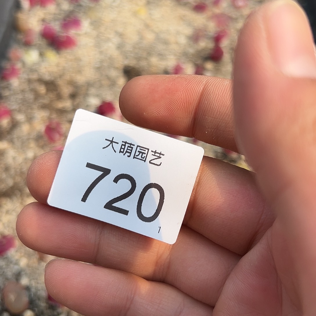 0000720 清框脱土发无售后……