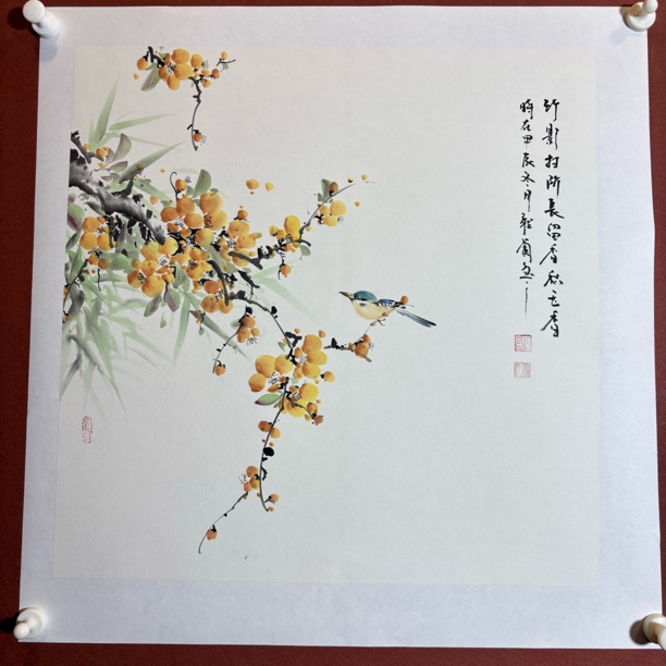 兰宝阁书画院三尺斗方纯手绘国画花鸟已拓裱画芯49:49