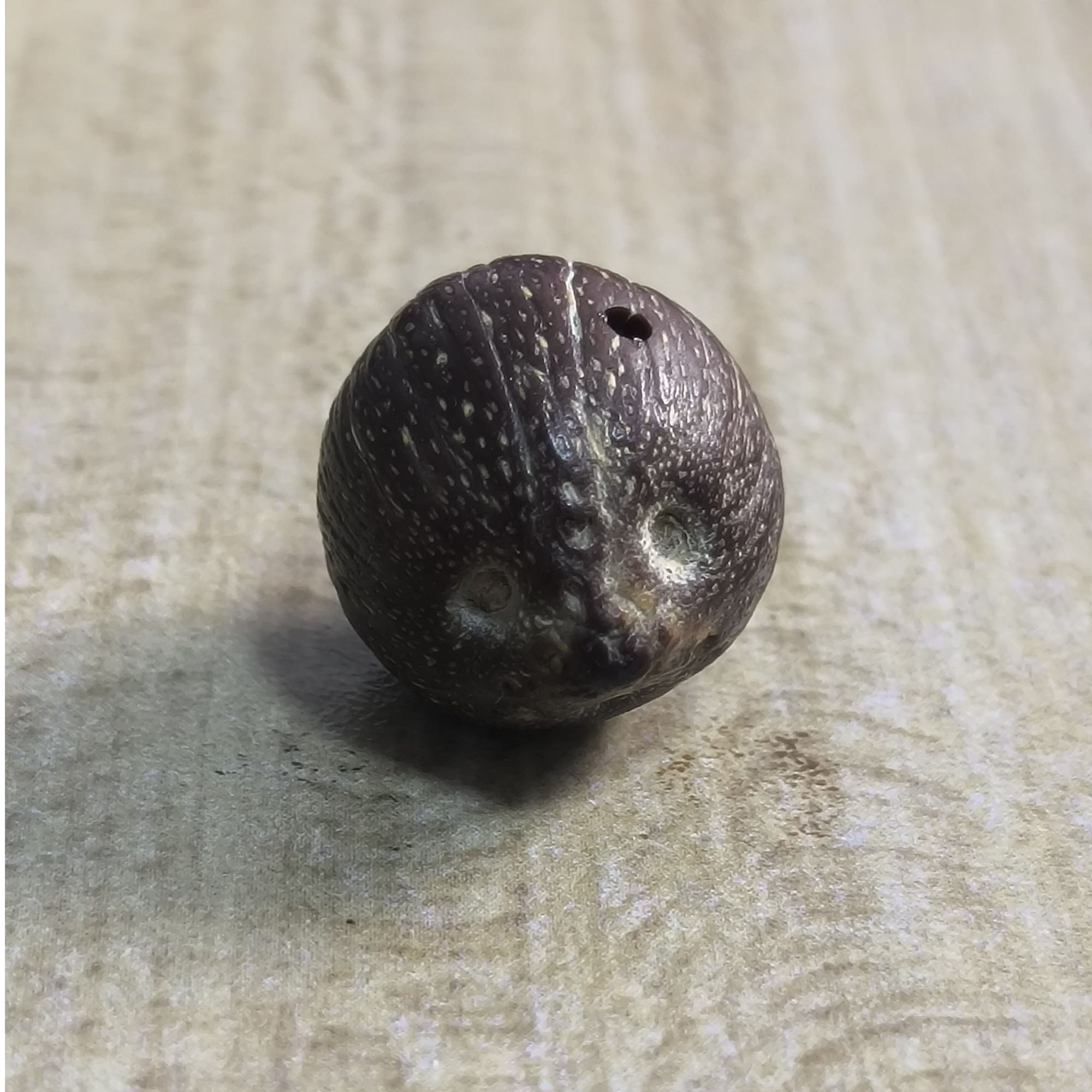 文玩紫金鼠原皮单籽
