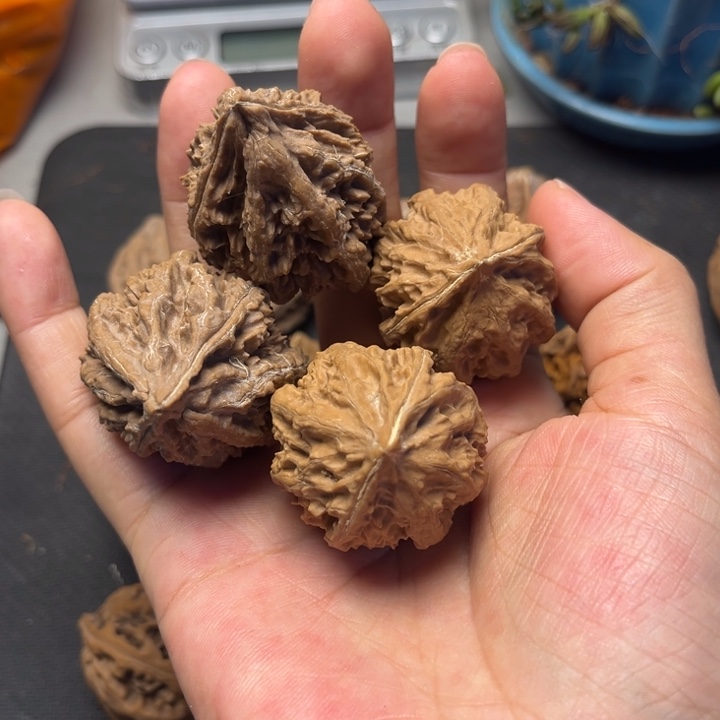 劳***山吊坠文玩核桃秋子