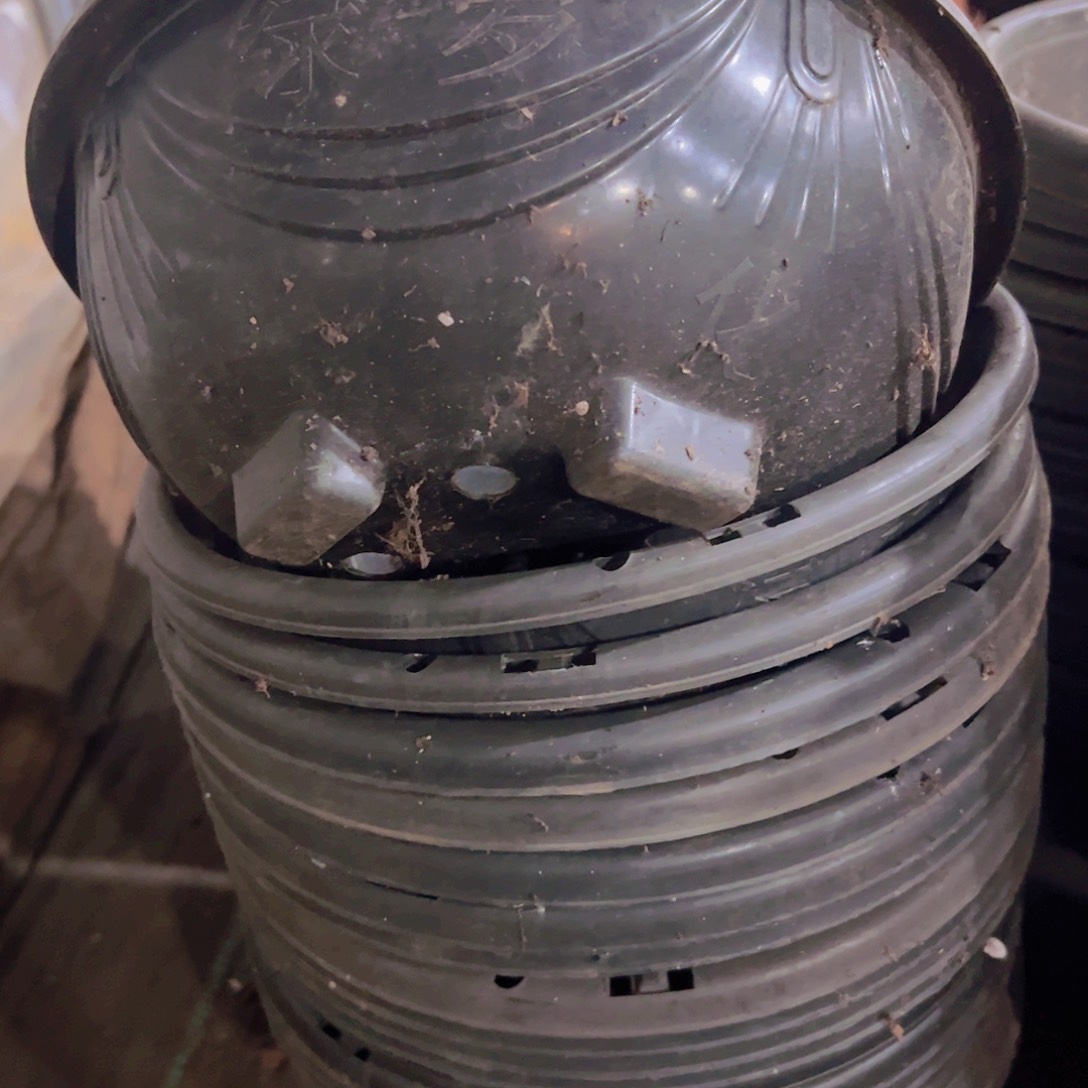 塑料吊兰盆27口径13高 20个