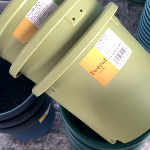 树脂17口果绿3个无托爱丽思