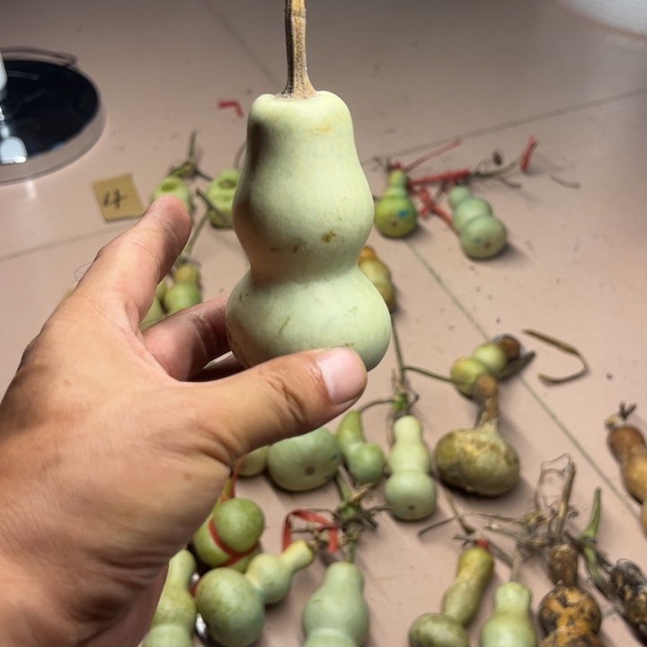 花***挖股清了就好啦啊哈