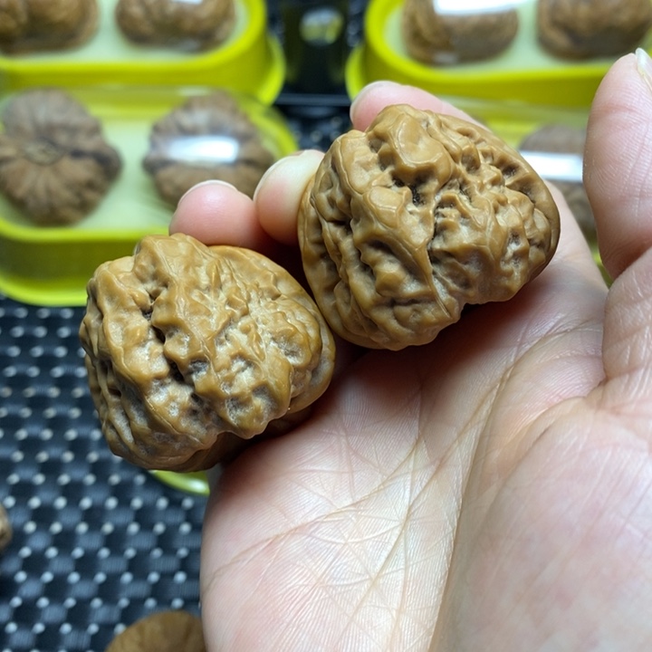 核桃手串/手链边38肚41山地蛙