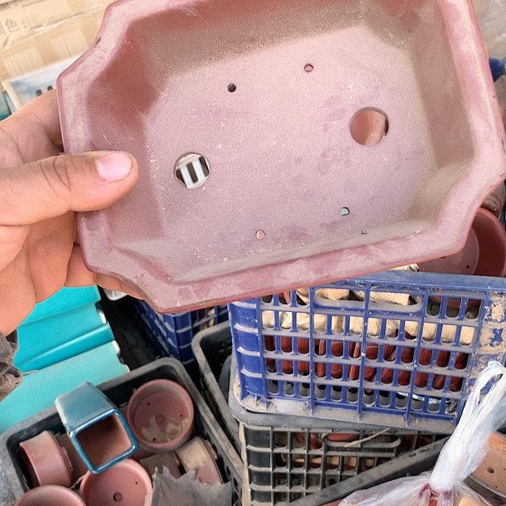 紫砂淘宝优惠券起单曲领不停