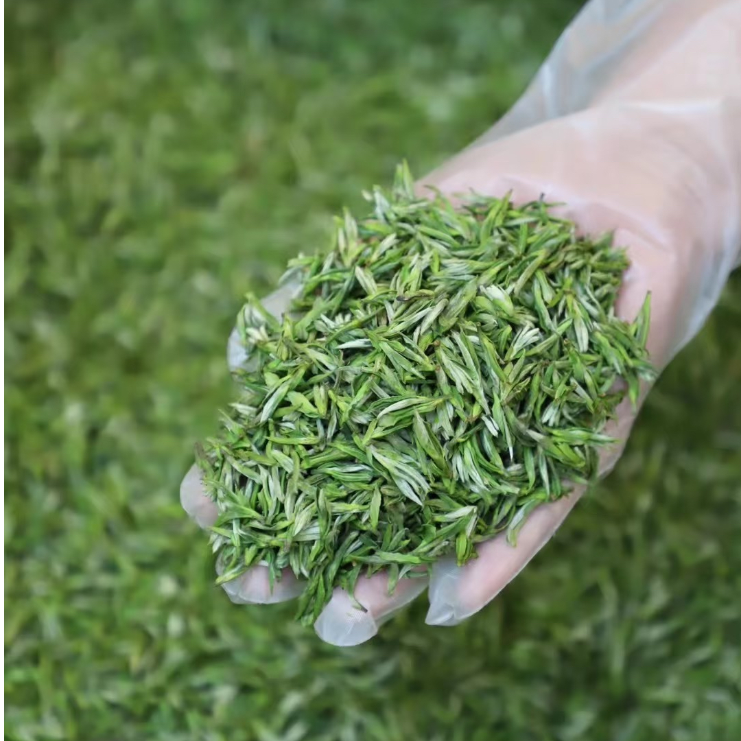 2025年新茶 泡茶小芽小兰花 核心产区