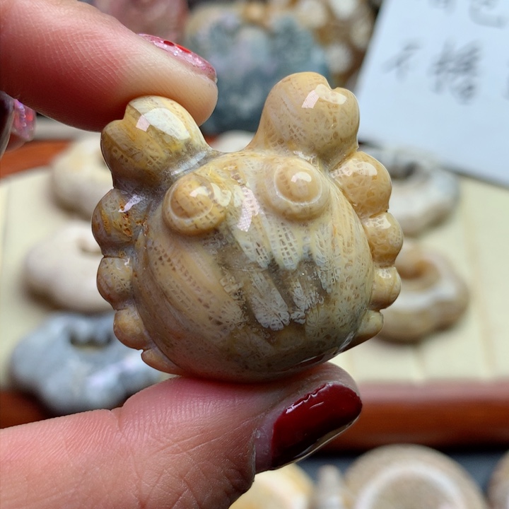 硅化珊瑚（珊瑚玉）颈饰未镶嵌