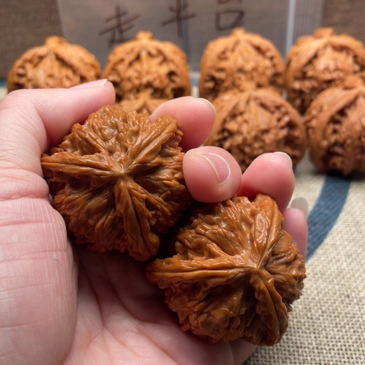 Y***゛核桃白狮子42核桃