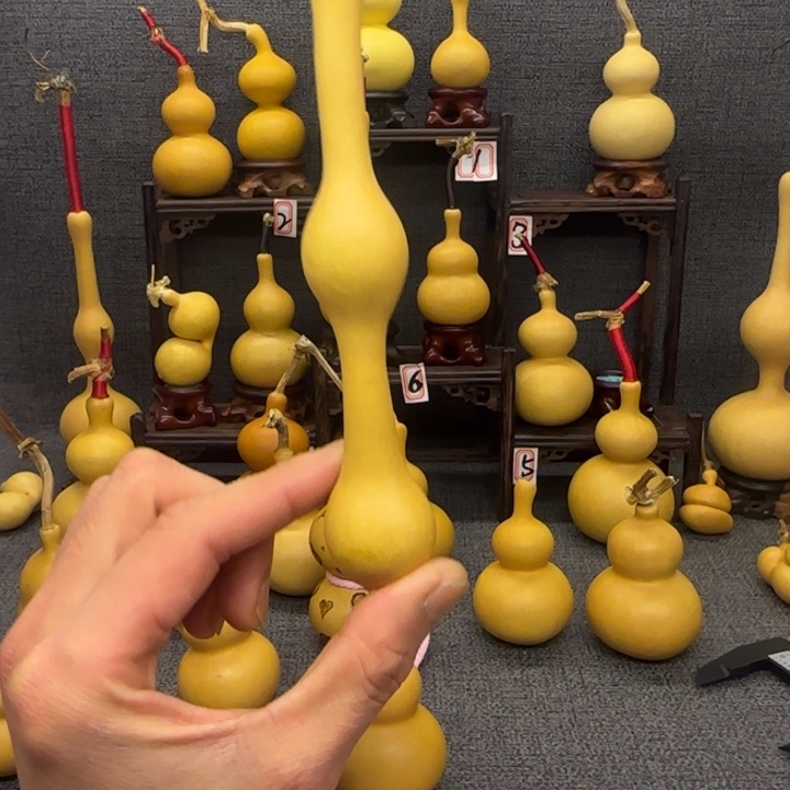 舜***天然精品文玩葫芦