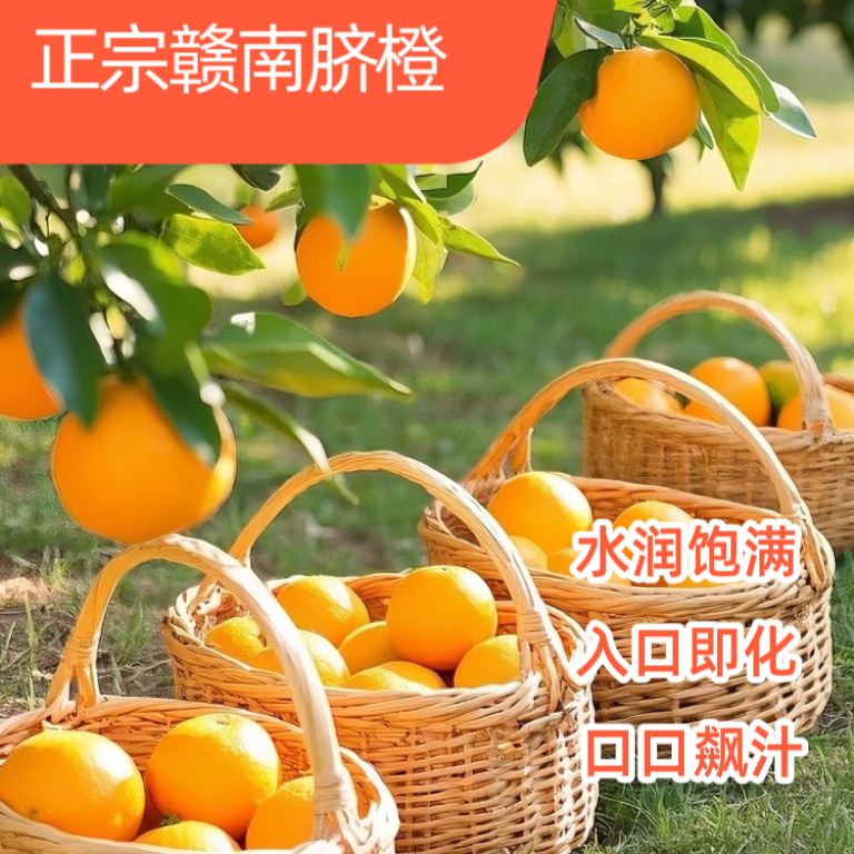 【次日达】T 正宗江西赣南脐橙香甜爆汁孕妇水果现摘自然成熟带箱5斤多仓发货赣南脐橙江西省