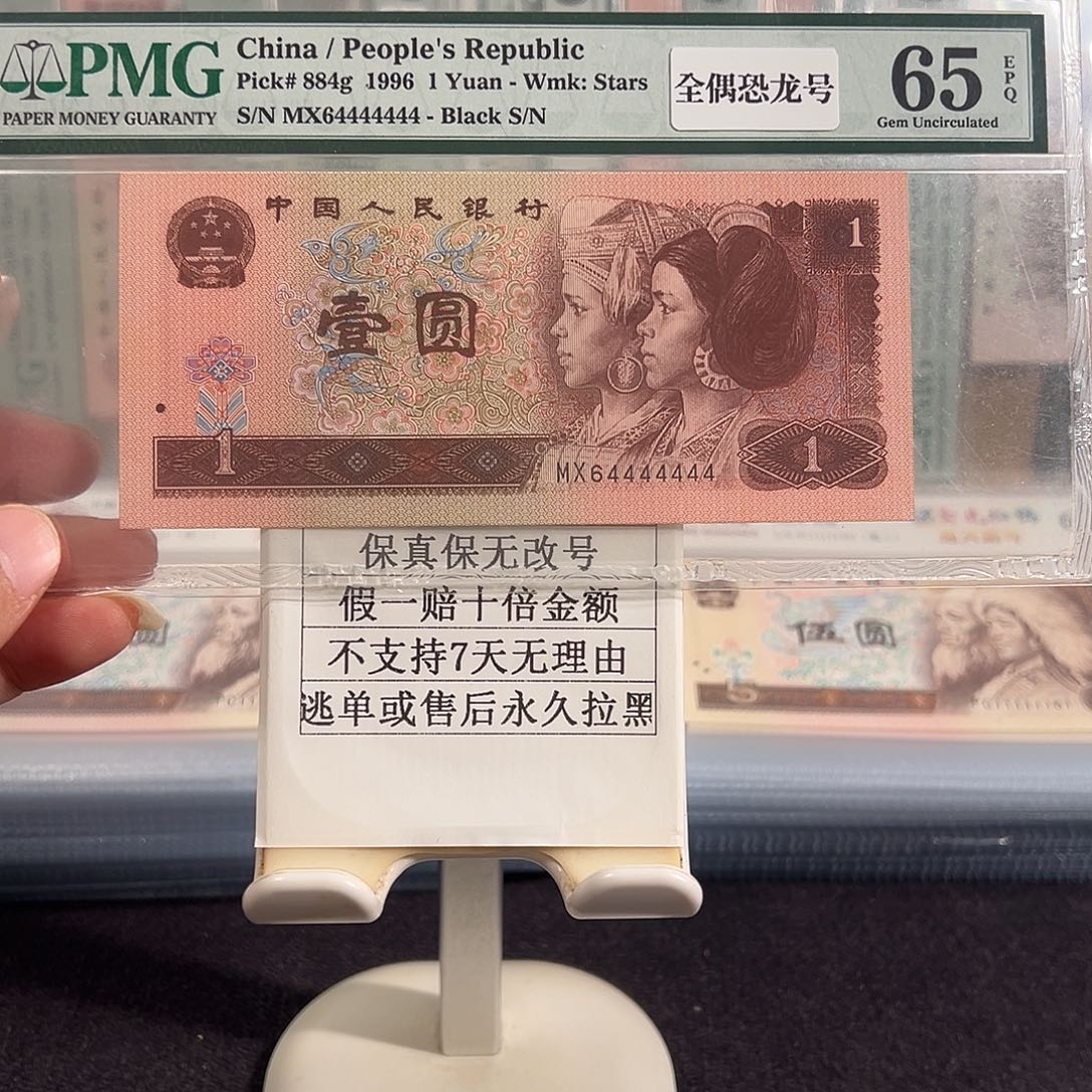 纸961一挂七恐龙号64444444