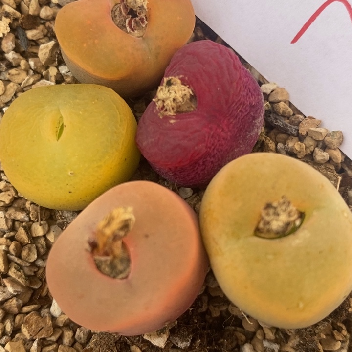 2334一组一组一组