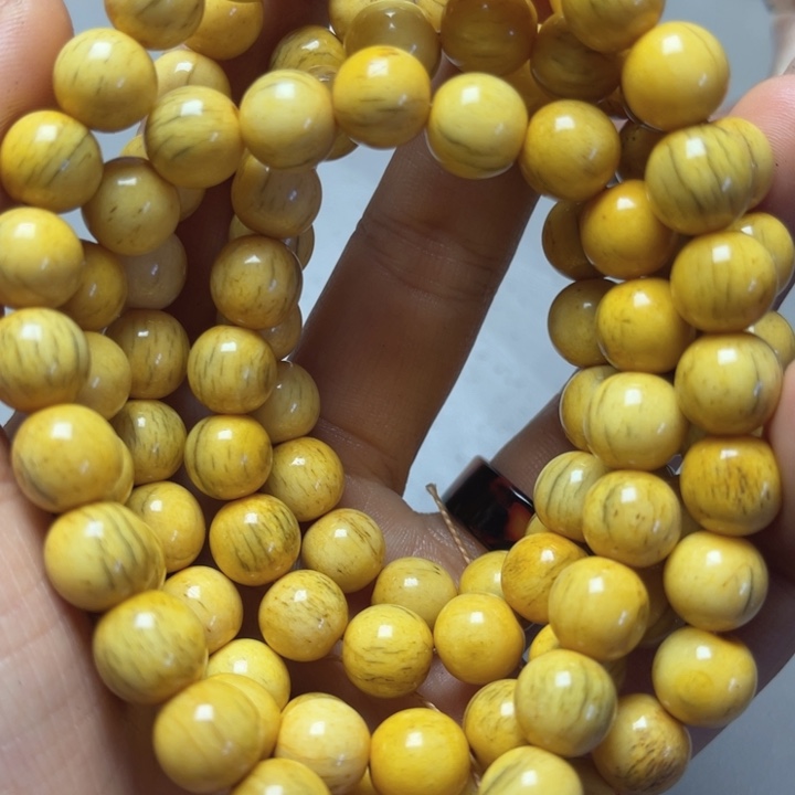 大果紫檀（缅甸花梨）