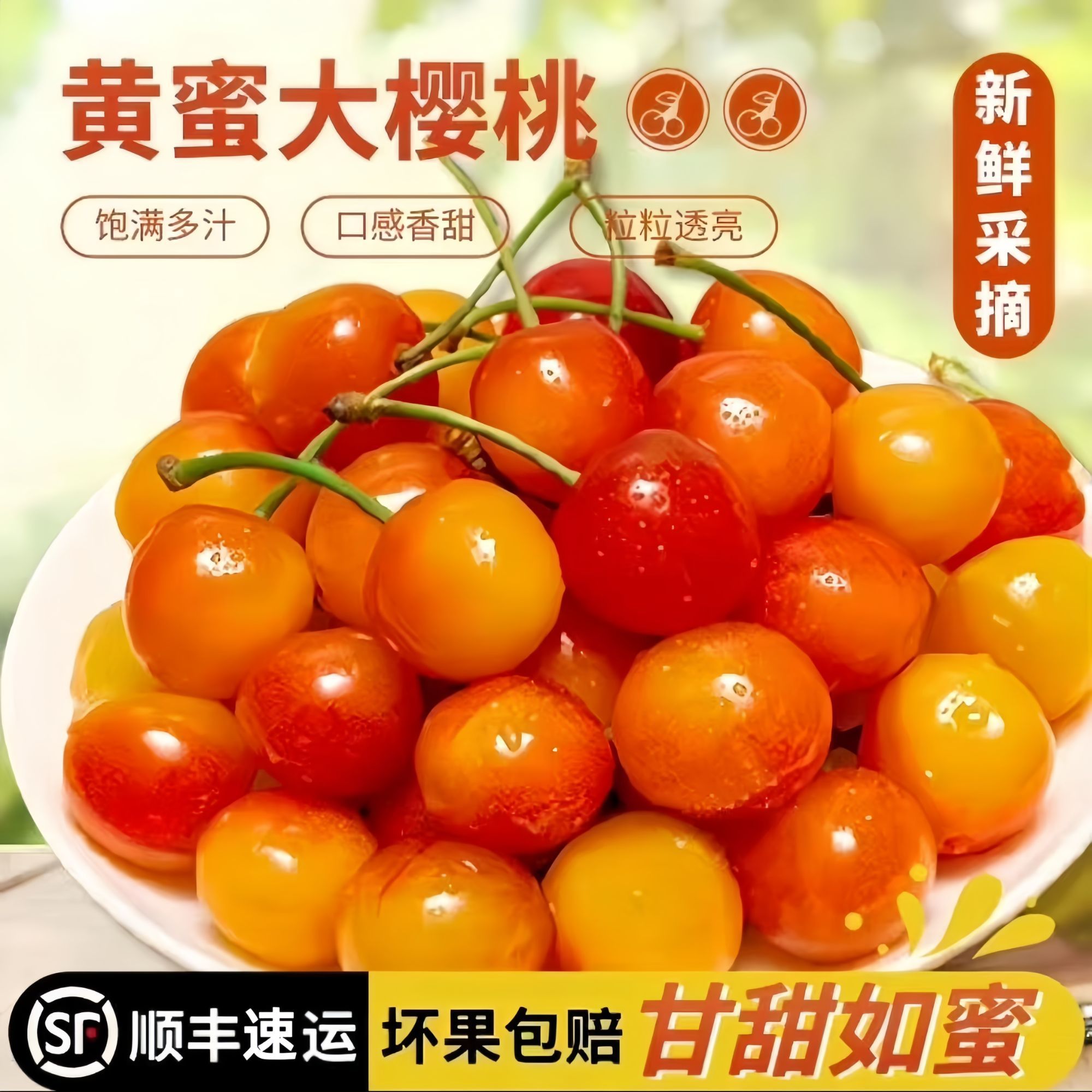 山东黄蜜樱桃正宗山东国产大樱桃1斤2斤3斤5斤装R水晶黄蜜