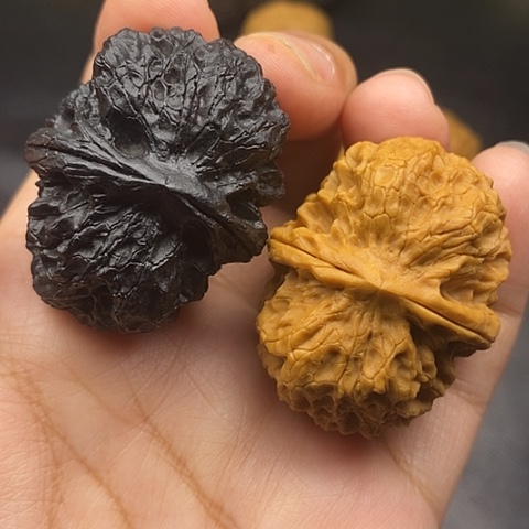 文玩核桃把件42尺元宝