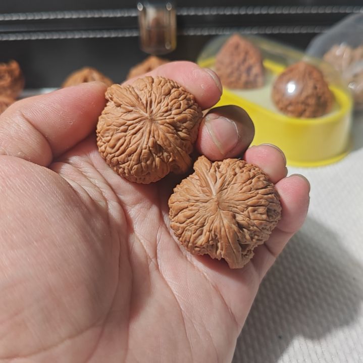 文玩核桃把件海***鲸文玩核桃