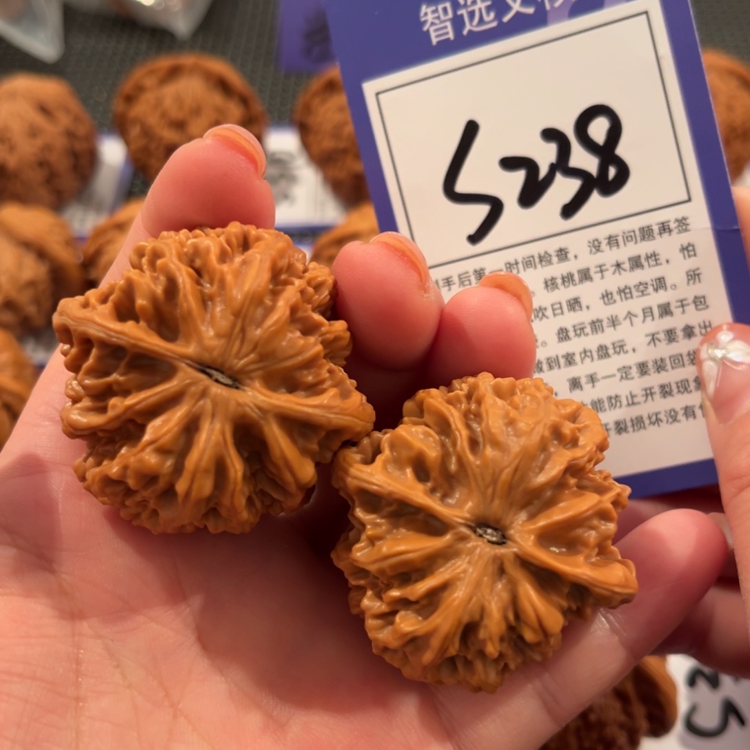 核桃S238号帝王43尺