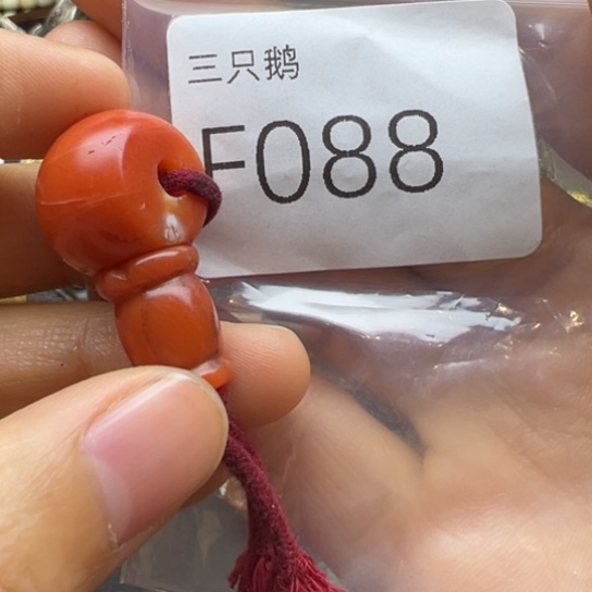 菩提根/象牙果吊坠