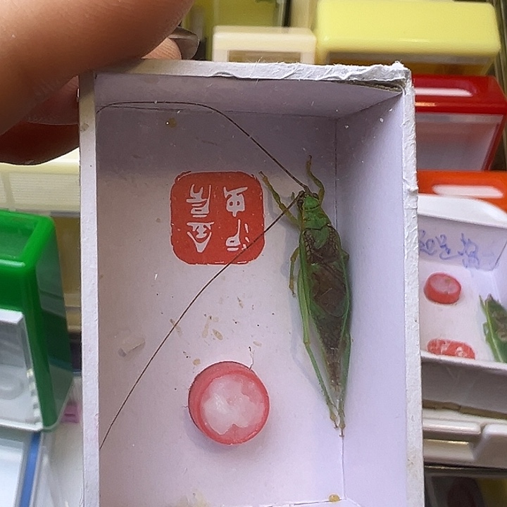 花***虫哈哈哈哈哈哈哈哈哈
