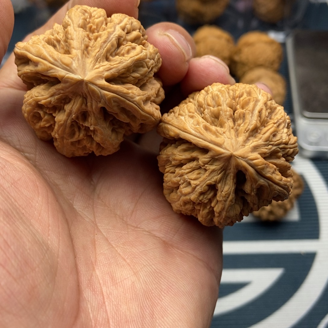 文玩核桃吊坠大粗筋