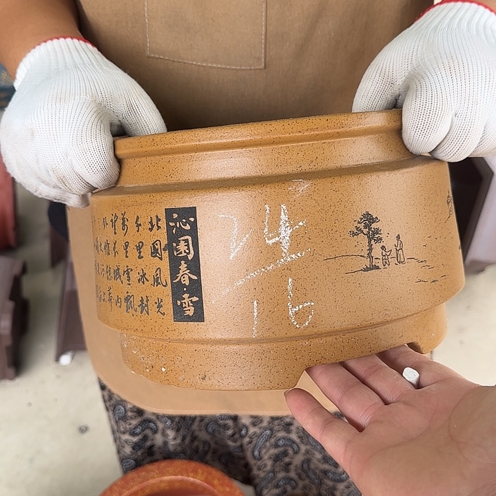 不敢于表达出你最