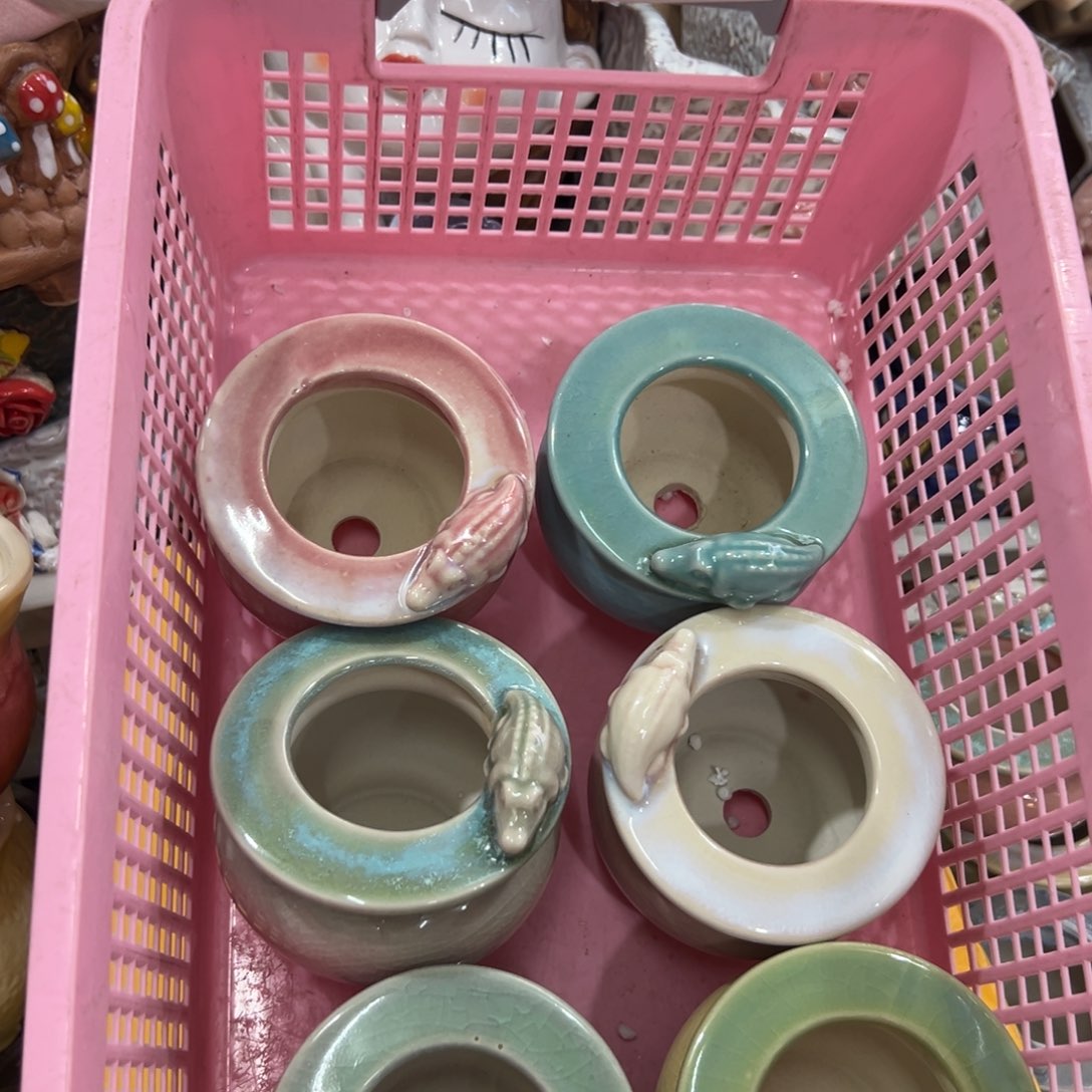 225 花盆拍满20元发货，退款的拉黑