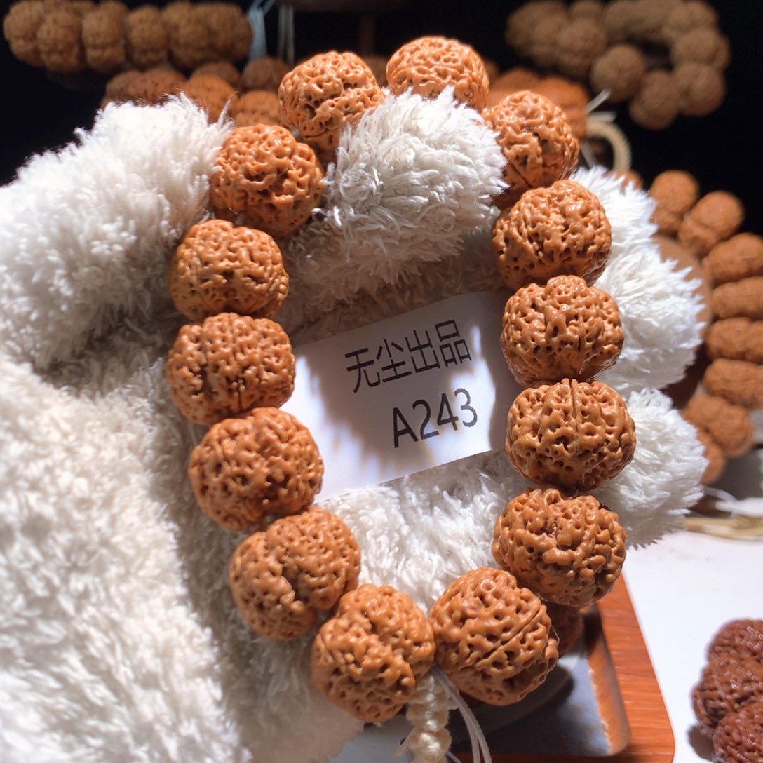 金刚菩提手串白*学21五面龙梅花定制