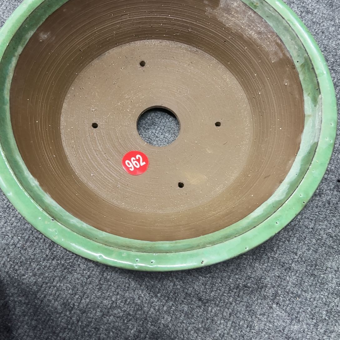 噗***蛋对你的喜欢就如同这日子只增不减962
