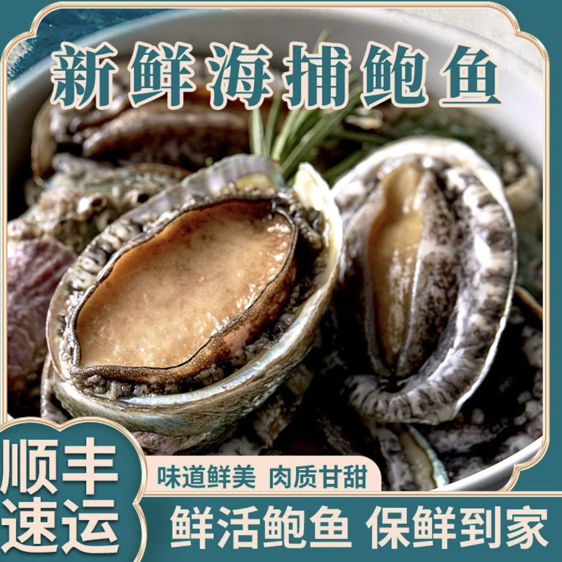 鲍鱼肉免清洗去壳去内脏个肥肉大鲜冻海鲜冷冻水产