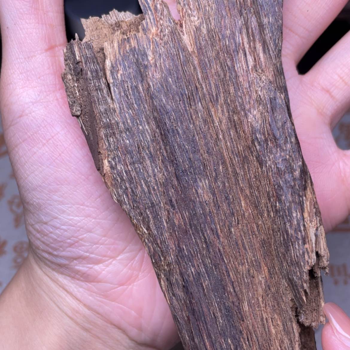 【闪购商品】香榧木海南琼中虫漏84克