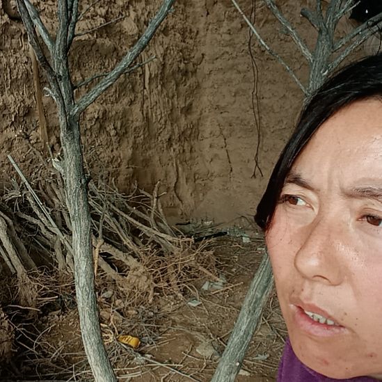遇***人完全开放文冠树一颗
